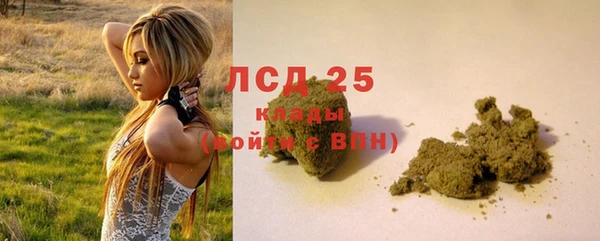 прущие грибы Абдулино