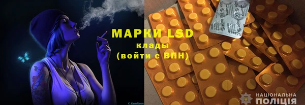 ПСИЛОЦИБИНОВЫЕ ГРИБЫ Абаза