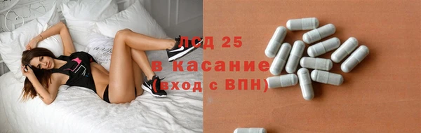 прущие грибы Абдулино