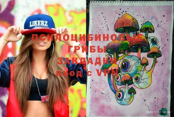 прущие грибы Абдулино