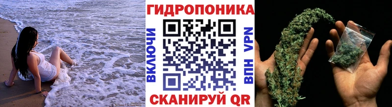 Бошки марихуана Amnesia  Электроугли 